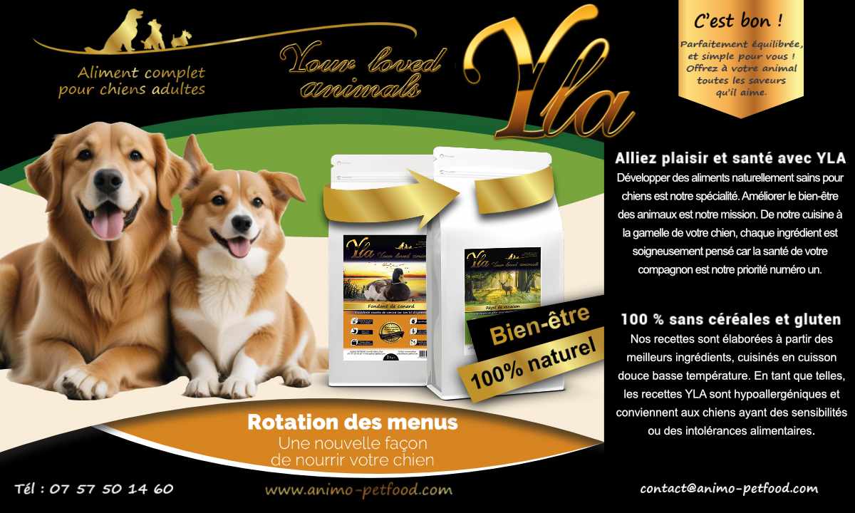 Croquettes sans céréales et gluten Yla pour chiens adultes, recettes hypoallergéniques naturelles, avec rotation de menus pour une alimentation équilibrée et bien-être animal.